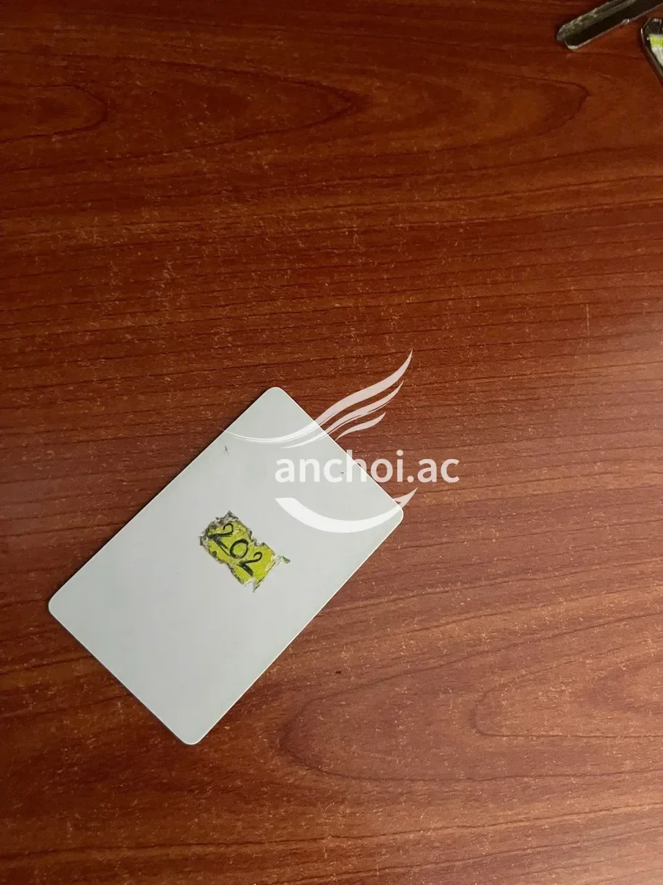 Ảnh checker tranvannguyen23 chụp khi gặp PHẠM KIM THẢO - HÀNG SIÊU NGON CHUẨN KHÔNG CẦN CHỈNH (ảnh 4/5)