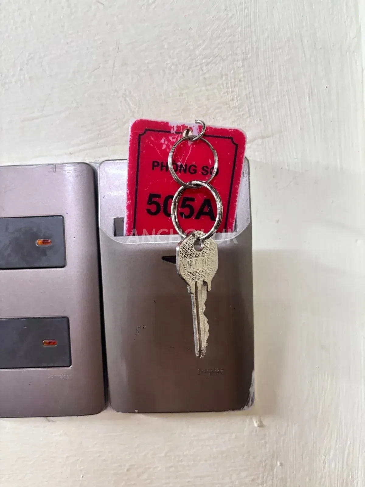 Ảnh checker Bá Đa Lộc chụp khi gặp NGỌC MIN - DỄ THƯƠNG TƯƠI TẮN, TÌNH YÊU CỦA MỌI NHÀ (ảnh 2/3)