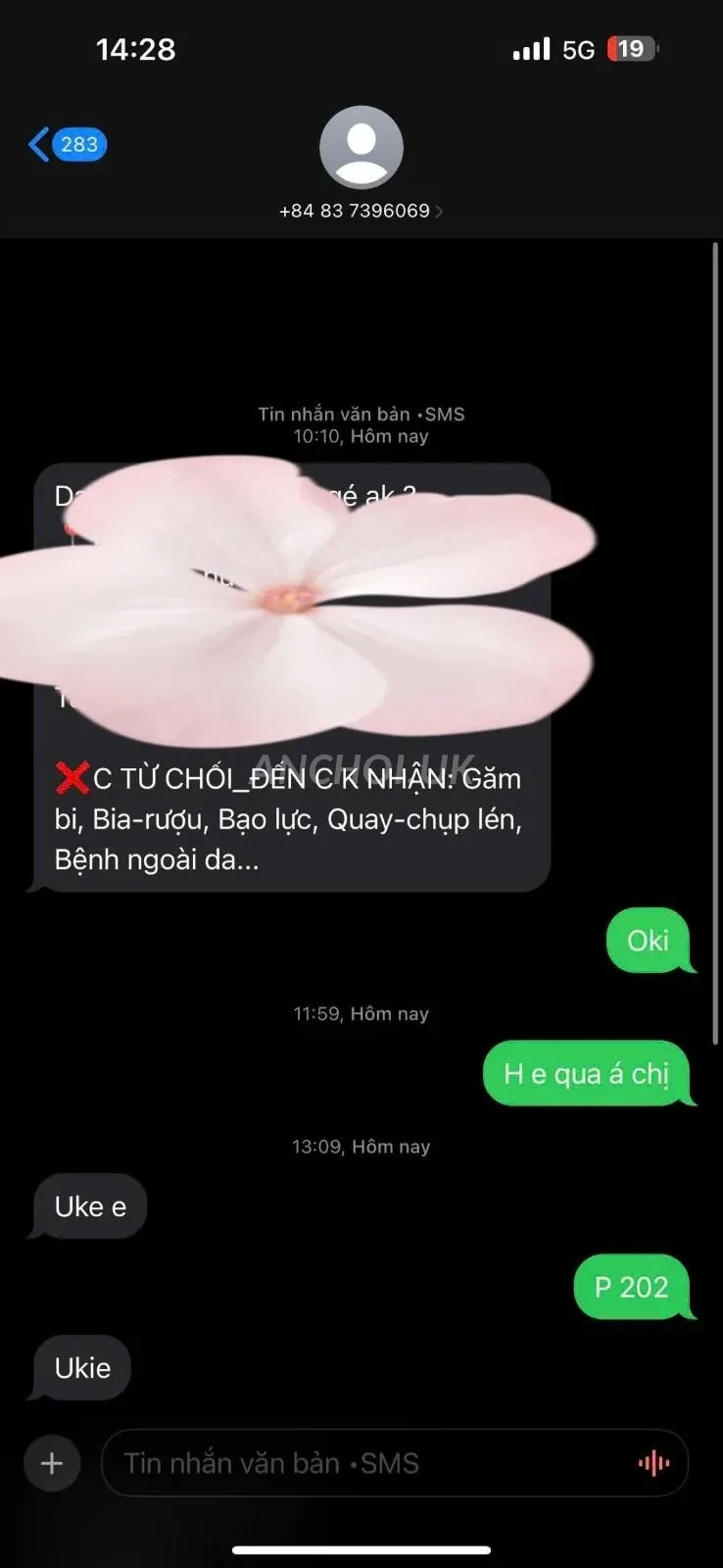 Ảnh checker Checker Lão Làng chụp khi gặp Nami - Em gái Loli Dễ Thương Mông To (ảnh 4/4)